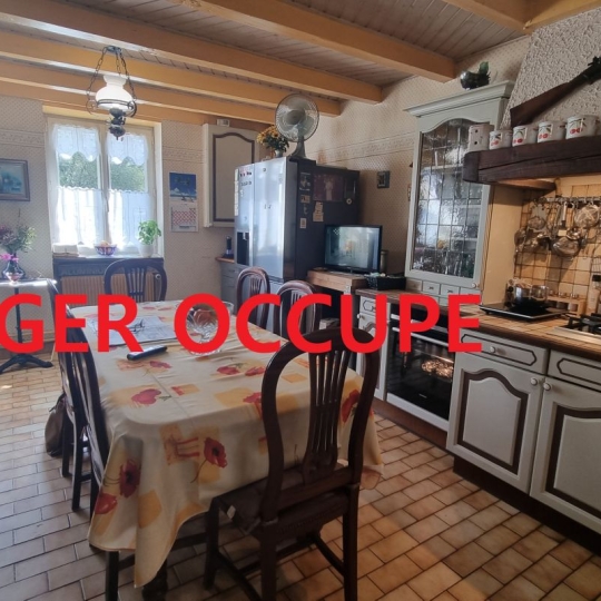 NL IMMOBILIER - UN VIAGER : Maison / Villa | VILLEMOTIER (01270) | 180.00m2 | 55 825 € 