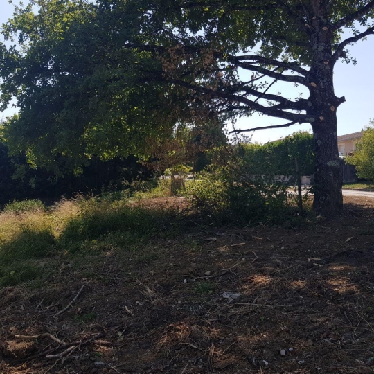  NL IMMOBILIER - UN VIAGER : Ground | MEXIMIEUX (01800) | 0 m2 | 49 000 € 