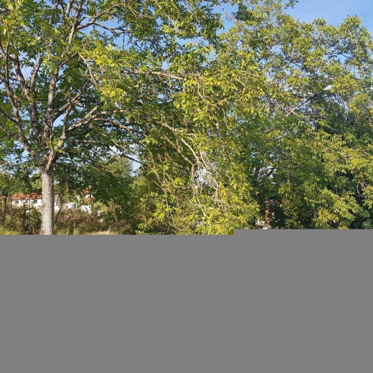  NL IMMOBILIER - UN VIAGER : Terrain | VILLETTE-SUR-AIN (01320) | 0 m2 | 55 000 € 