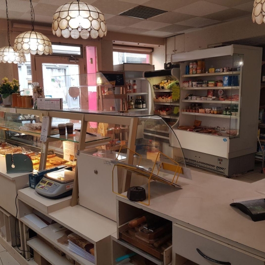 Annonces BUGEY : Commercial | MEXIMIEUX (01800) | m2 | 55 000 € 