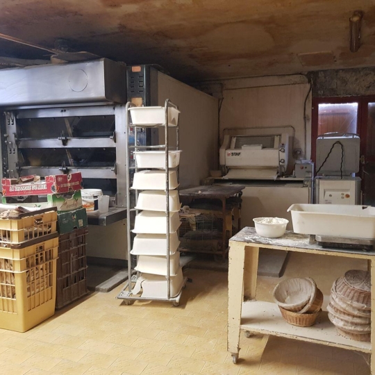  NL IMMOBILIER - UN VIAGER : Commercial | MEXIMIEUX (01800) | 0 m2 | 55 000 € 