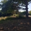  NL IMMOBILIER - UN VIAGER : Ground | MEXIMIEUX (01800) | 0 m2 | 49 000 € 