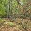  NL IMMOBILIER - UN VIAGER : Ground | CRANS (01320) | 0 m2 | 34 000 € 