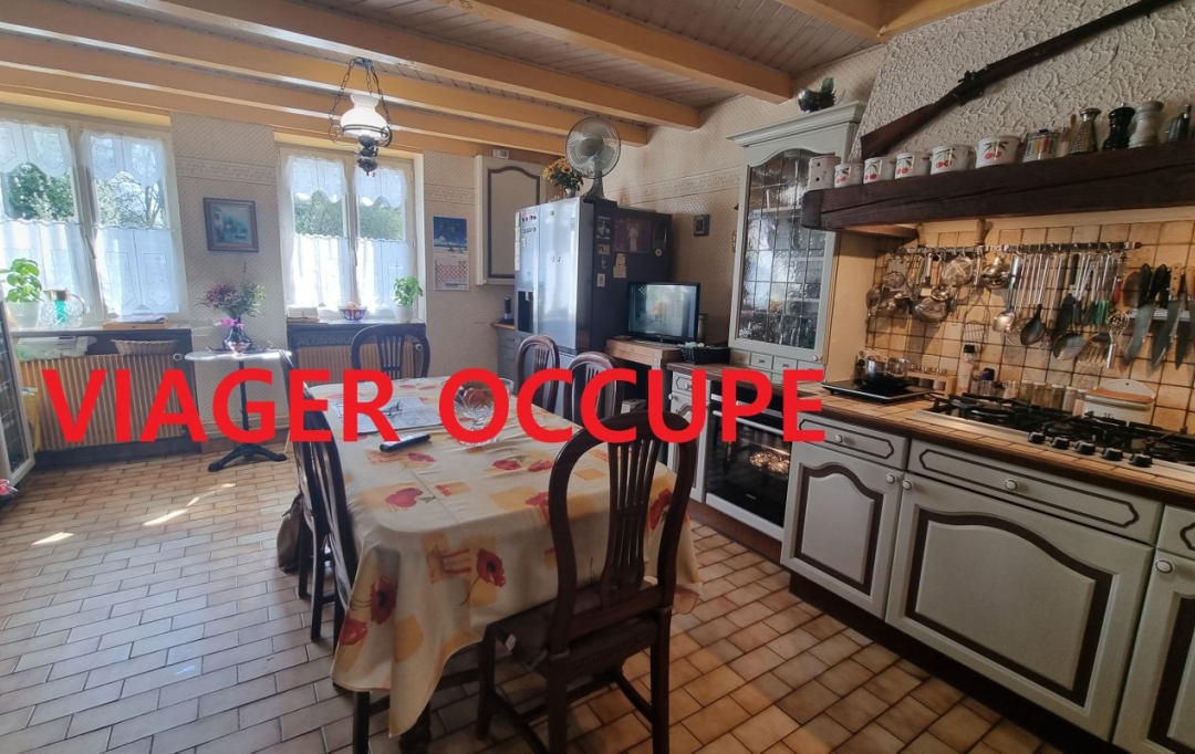 NL IMMOBILIER - UN VIAGER : Maison / Villa | VILLEMOTIER (01270) | 180 m2 | 55 825 € 