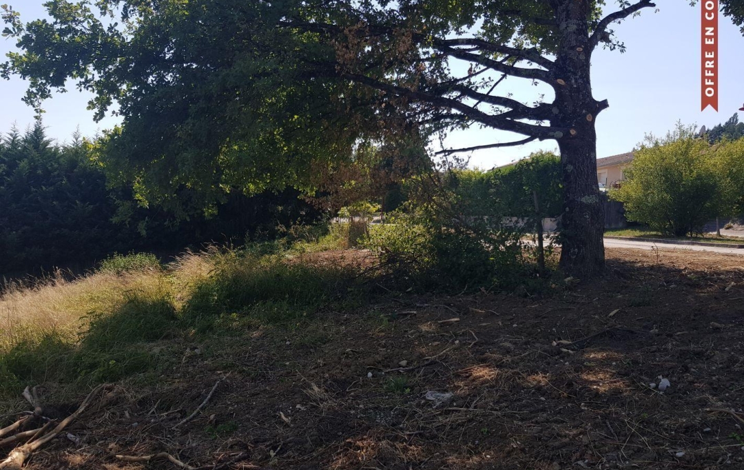 NL IMMOBILIER - UN VIAGER : Ground | MEXIMIEUX (01800) | 0 m2 | 49 000 € 