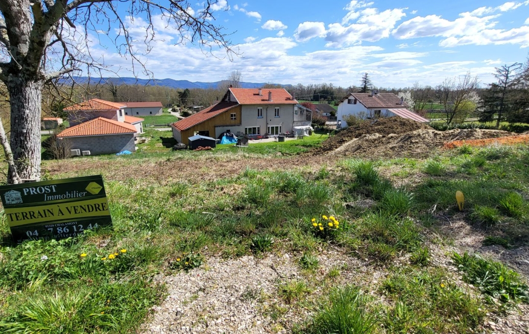 NL IMMOBILIER - UN VIAGER : Terrain | VILLETTE-SUR-AIN (01320) | 0 m2 | 55 000 € 
