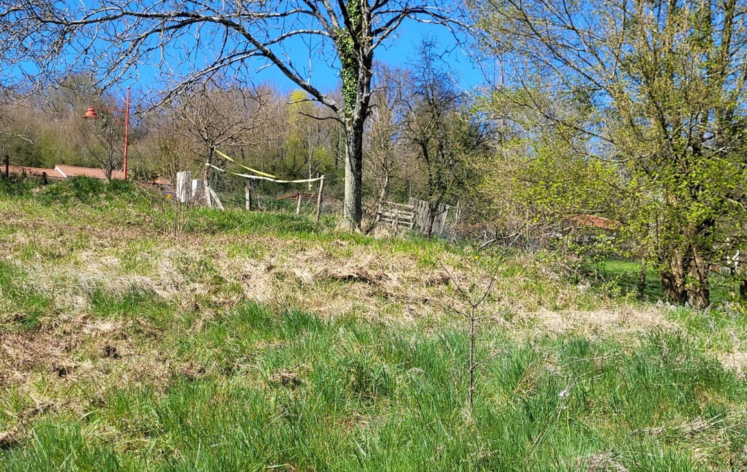 NL IMMOBILIER - UN VIAGER : Terrain | VILLETTE-SUR-AIN (01320) | 0 m2 | 55 000 € 