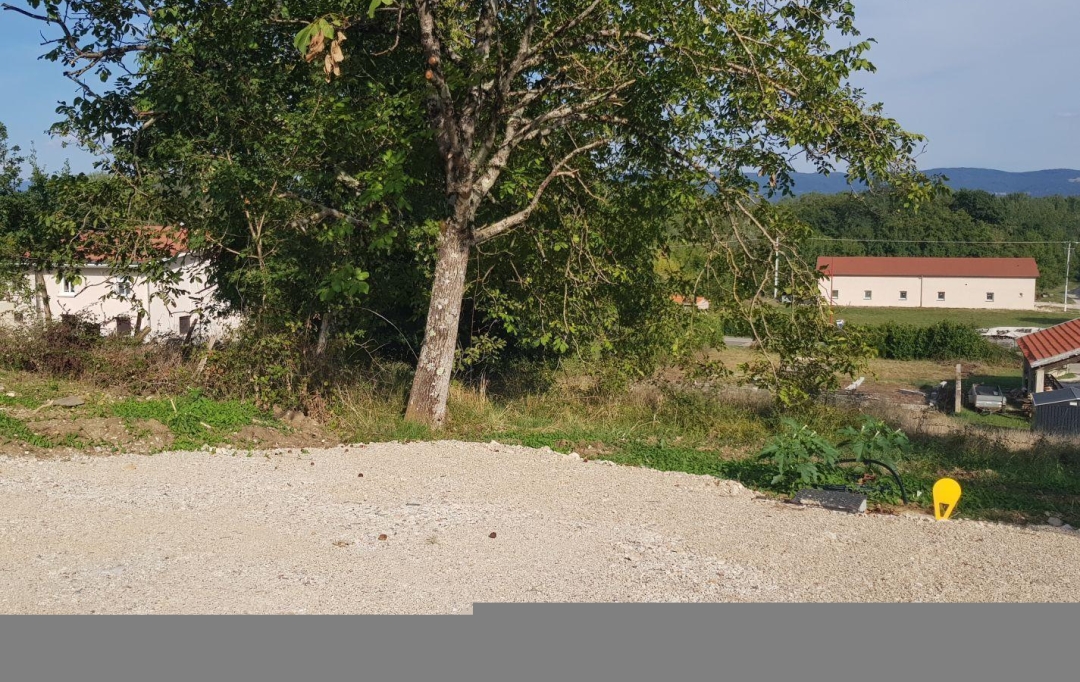 NL IMMOBILIER - UN VIAGER : Terrain | VILLETTE-SUR-AIN (01320) | 0 m2 | 55 000 € 