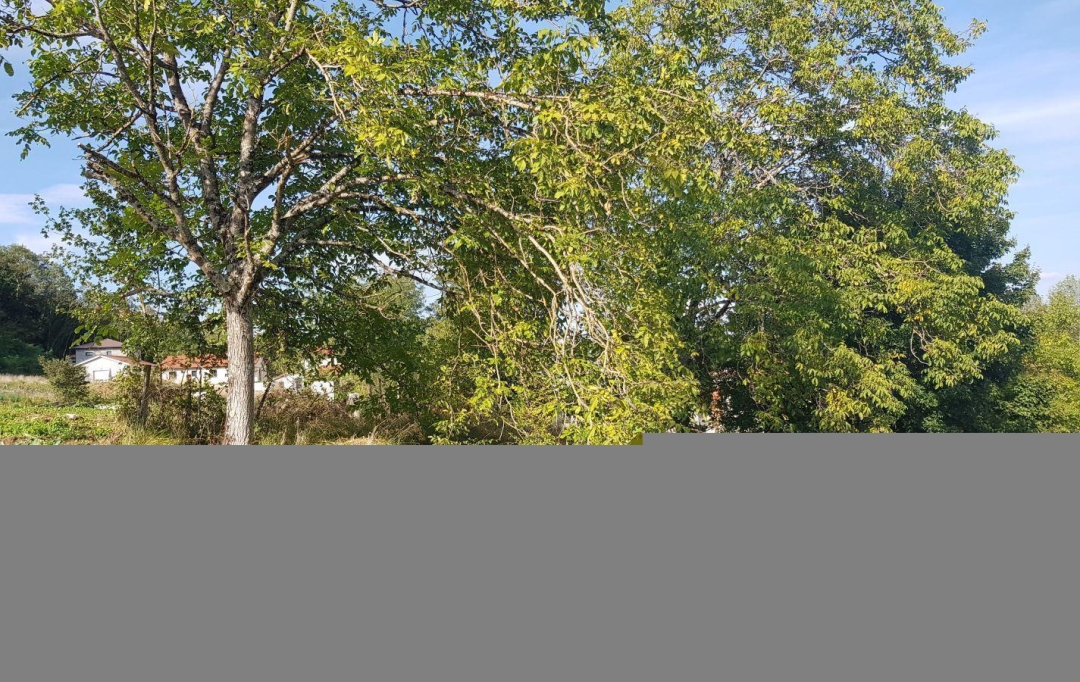 NL IMMOBILIER - UN VIAGER : Terrain | VILLETTE-SUR-AIN (01320) | 0 m2 | 55 000 € 