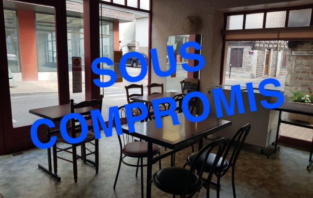 NL IMMOBILIER - UN VIAGER : Commercial | MEXIMIEUX (01800) | 0 m2 | 55 000 € 